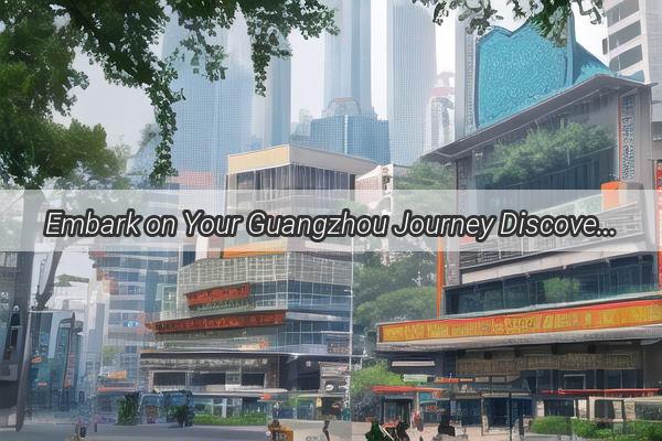 Embark on Your Guangzhou Journey Discover the Essential Documents for Your Taxi Ride